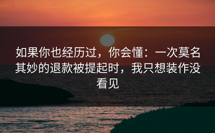 如果你也经历过，你会懂：一次莫名其妙的退款被提起时，我只想装作没看见